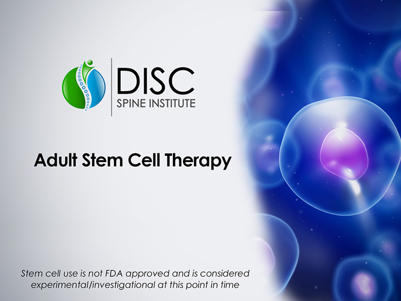 Stem Cell